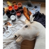 Hobbyhäst Käpphäst Gulbrun Hobby Horse