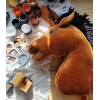 Hobbyhäst Käpphäst Hobby Horse