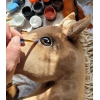Hobbyhäst Käpphäst Söt Kastanjfärgad Hobby Horse
