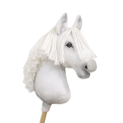 Hobby Horse och Tillbehör