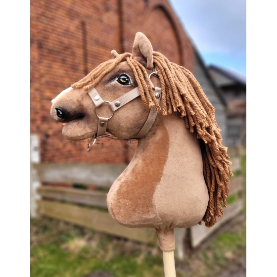 Hobbyhäst Käpphäst Söt Kastanjfärgad Hobby Horse